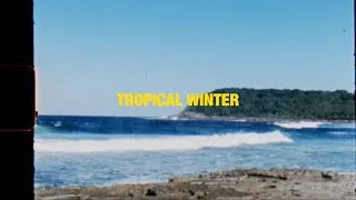 Miniature : TROPICAL WINTER