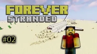Miniature : [MINECRAFT] Forever Stranded #02