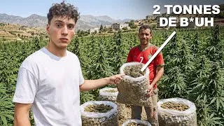 Miniature : J'INFILTRE une PRODUCTION de CANN*B*S au Maroc