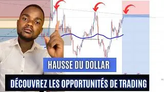 Miniature : Le dollar monte, quelles sont les opportunités de Trading à saisir aujourd'hui !?