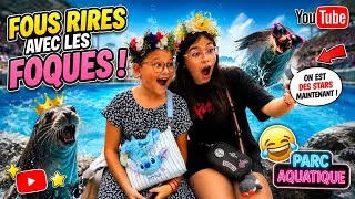 Miniature : Leur tête quand ils sortent de l'eau est trop drôle 😂