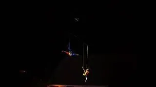 Miniature : MOBILE SOUS GRUE (2001)