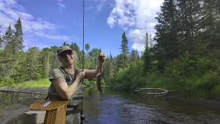 Miniature : La rivière Mistouk