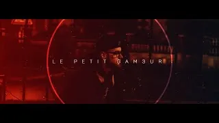 Miniature : | Le petit Gam3ur | Stream, Gamplay, Live et Fun