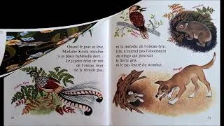Miniature : Nours et Pluche, les petits koalas (album)