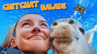 Miniature : 2024 sera notre année ! CHITCHAT BALADE