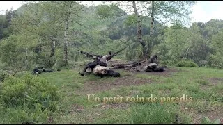 Miniature : Un petit coin de paradis, micro rode stéréo vidéomic x