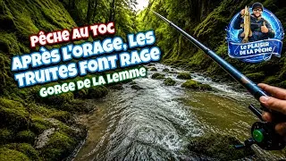 Miniature :  TRUITE AU TOC ,  La Lemme  JURA 39 . Session après l'orage qui fait rage