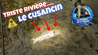 Miniature : LE CUSANCIN EST MORTE ! Pêche au toc  DOUBS 25 