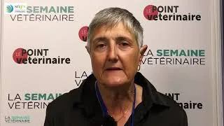 Miniature : Fertilité des vaches laitières : comprendre les causes, améliorer les résultats