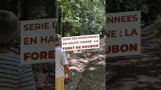Miniature : Forêt de Boubon à Cussac