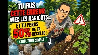 Miniature : 🌱 Tu fais cette erreur avec les haricots… et tu perds 50% de ta récolte ! (solution simple)