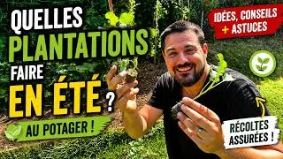 Miniature : Que planter en été pour récolter jusqu'en automne ? 🌱