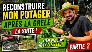 Miniature : Reconstruire son potager après la grêle (Partie 2) : tomates et préparation du sol 🌱