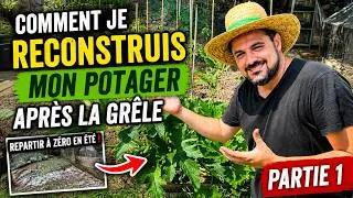 Miniature : Comment je reconstruis mon potager après la grêle (Partie 1)