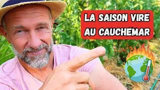 Miniature : Histoire d'une saison horrible au potager ► Pourquoi & comment mieux réussir pour la suite ?