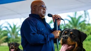 Miniature : SEMBOLA: TSHISEKEDI NA DIASPORA USA A BENGI KABILA MBUA YABA RWANDAIS BA BOMA M’ZEE KABILA