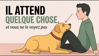 Miniature : Votre Chien Attend Cela De Vous… Mais Vous Ne Le Remarquez Pas