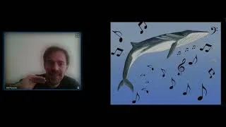 Miniature : B. Francois - Et si on écoutait sous l'eau ?