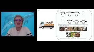 Miniature : Fabienne Delfour - Les secrets des émotions chez les animaux : zoom sur les dauphins !