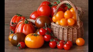 Miniature : Mes Tomates