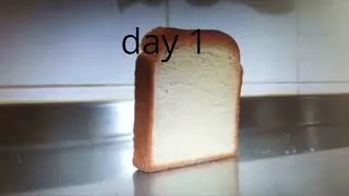 Miniature : day 2
