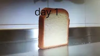 Miniature : day 1