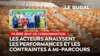Miniature : FILIÈRE ŒUF DE CONSOMMATION : Les acteurs analysent les performances et contraintes à mi-parcours