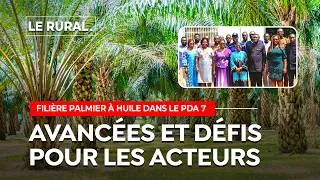 Miniature : PDA 7 : quelles avancées pour les filières palmier à huile, riz et fruits ?