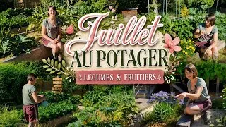 Miniature : 🌱 Visite de mon potager surélevé en juillet | Légumes & fruitiers 🫑🍓🫜🍇🍠