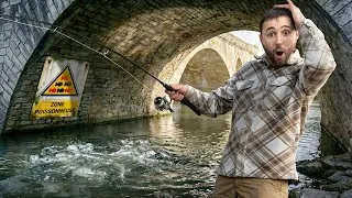 Miniature : Je PÊCHE une QUANTITÉ de POISSONS INCROYABLE sous ces PONTS ! ( Sandre, Bass, Perche, Silure..)