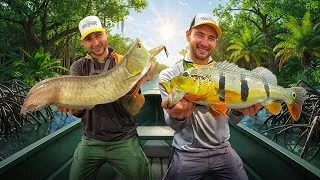 Miniature : On pêche des POISSONS SURPUISSANTS au bout du MONDE