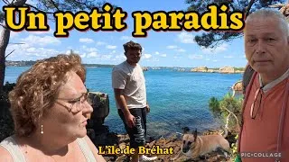 Miniature : 250 Île de Bréhat : un véritable paradis en Bretagne 😍