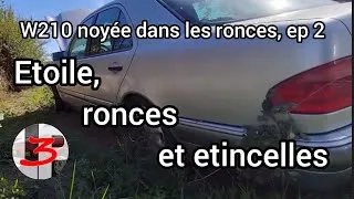 Miniature : W210 Noyée dans les ronces, ep. 2 : Etoile, ronces et étincelles !