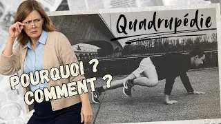 Miniature : La famille la plus IMPORTANTE en hébertisme ! - Quadrupédie