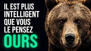 Miniature : Que Cache L’OURS ? 100 Faits Sur Le Prédateur Le Plus Connu 🐻