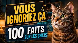 Miniature : Pourquoi Votre CHAT Vous MIAULE En Retour ? 100 Faits Sur Votre ANIMAL DE COMPAGNIE !