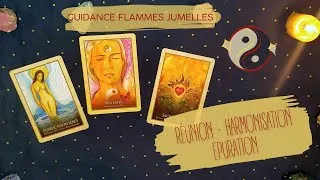Miniature : FJ ❤️‍🔥Yin en a marre, mais Yang s'ouvre à l'amour de son autre 💞Réunion en approche