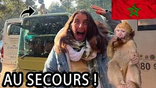 Miniature : 🛑🙅‍♂️ Toutes LES ROUTES SONT FERMÉES ⛄️❄️ - FAMILLE NOMADE