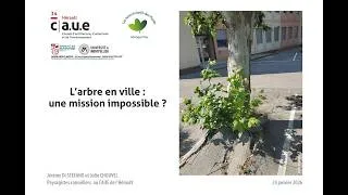 Miniature : Conférence  L'arbre en ville : une mission impossible ?