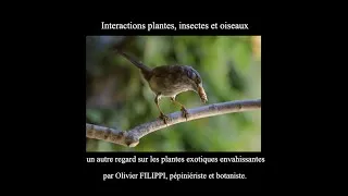Miniature : Conférence : Interactions plantes, insectes et oiseaux - Olivier FILIPPI