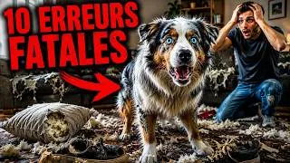 Miniature : Top 10 des erreurs FATALES avec un Berger Australien (la #5 détruit leur mental)