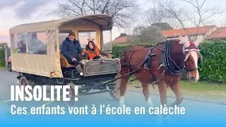 Miniature : Un moyen de transport très insolite !