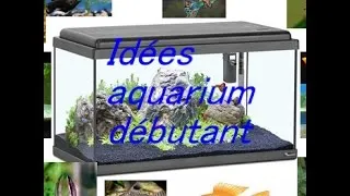 Miniature : IDÉES POUR UN AQUARIUM SPÉCIAL DÉBUTANT