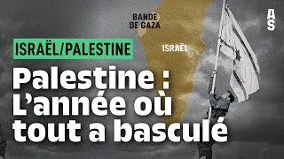 Miniature : 1947 : le partage de la Palestine