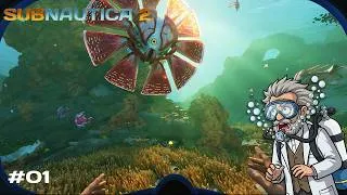 Miniature : Partons à la découverte d'un monde inconnu ! - SUBNAUTICA 2 - [Ép. 1]