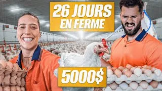 Miniature : PVT Australie : 5000$ pour ramasser des ŒUFS (on est KO)