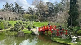 Miniature : Dépaysement total 🇯🇵 • vlog 141 #nomade#campingcar#americanbully 