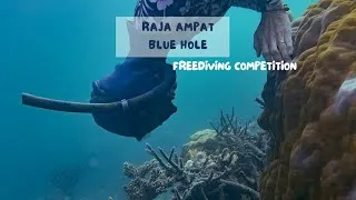 Miniature : Vertical Limit (world record) Raja Ampat Blue Hole 🧜‍♀️🔥