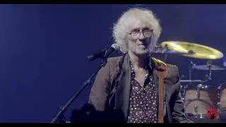 Miniature : Purple rain